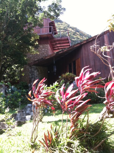 our2ndhomethetreehouse11.jpg
