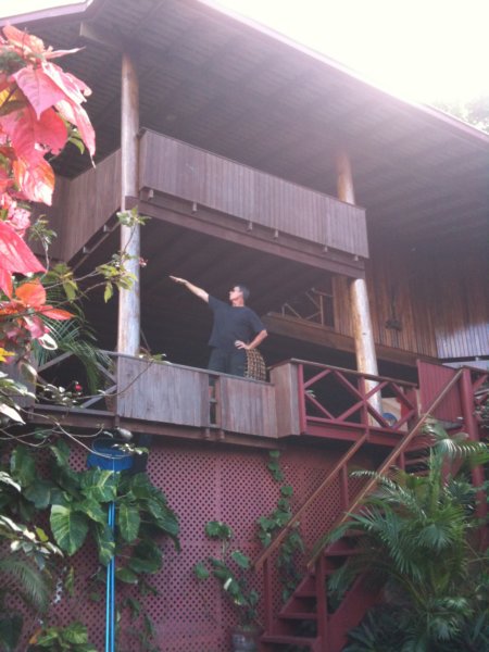 our2ndhomethetreehouse14.jpg