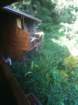our2ndhomethetreehouse17_small.jpg